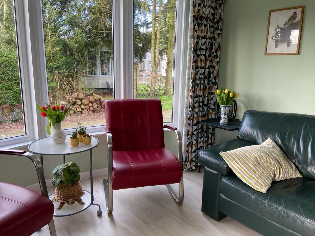 Ruim En Modern Chalet In De Veluwse Bossen Putten Exterior foto